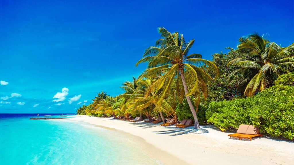 What is better Maldives or Thailand?