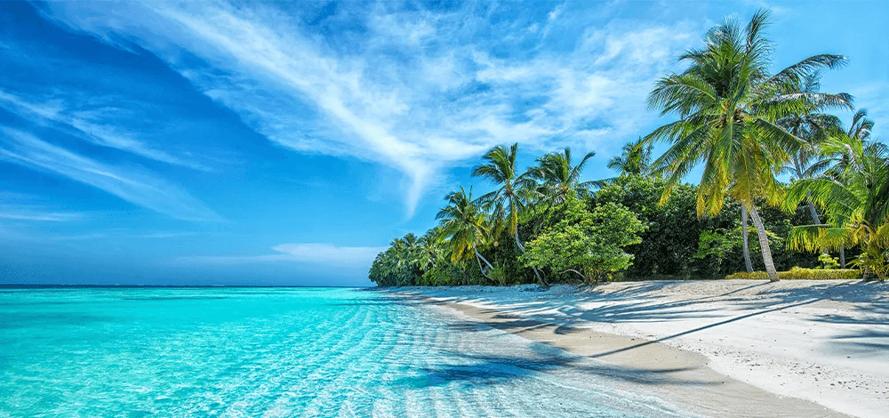 Playa con palmeras en una de las islas Maldivas bañadas por el Océano Índico