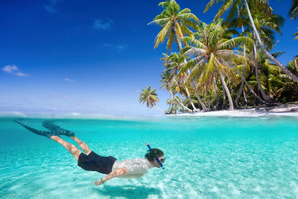Diving in the waters of the Maldives