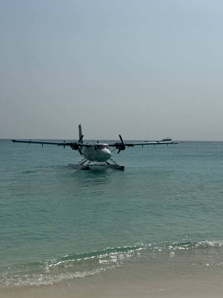 Seaplane floating near the shore