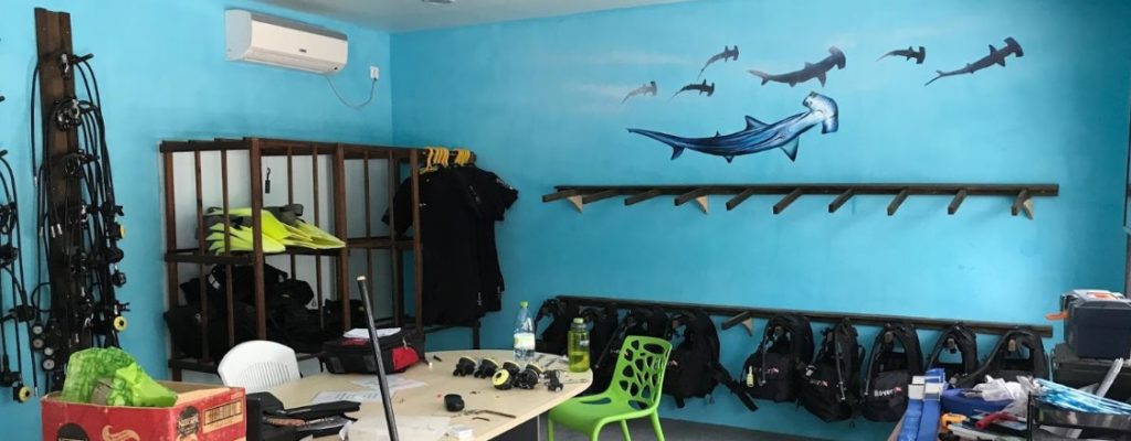Thoddoo Diving Center equipment room with a shark mural