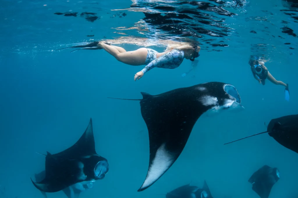 Swimmer with manta rays